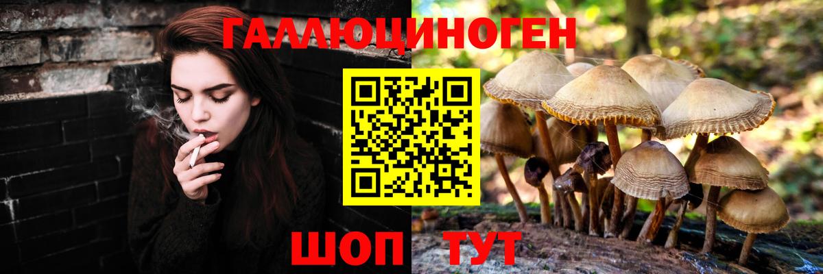 дарнет шоп  Вход с VPN  Белгород  Галлюциногенные грибы Psilocybine cubensis 