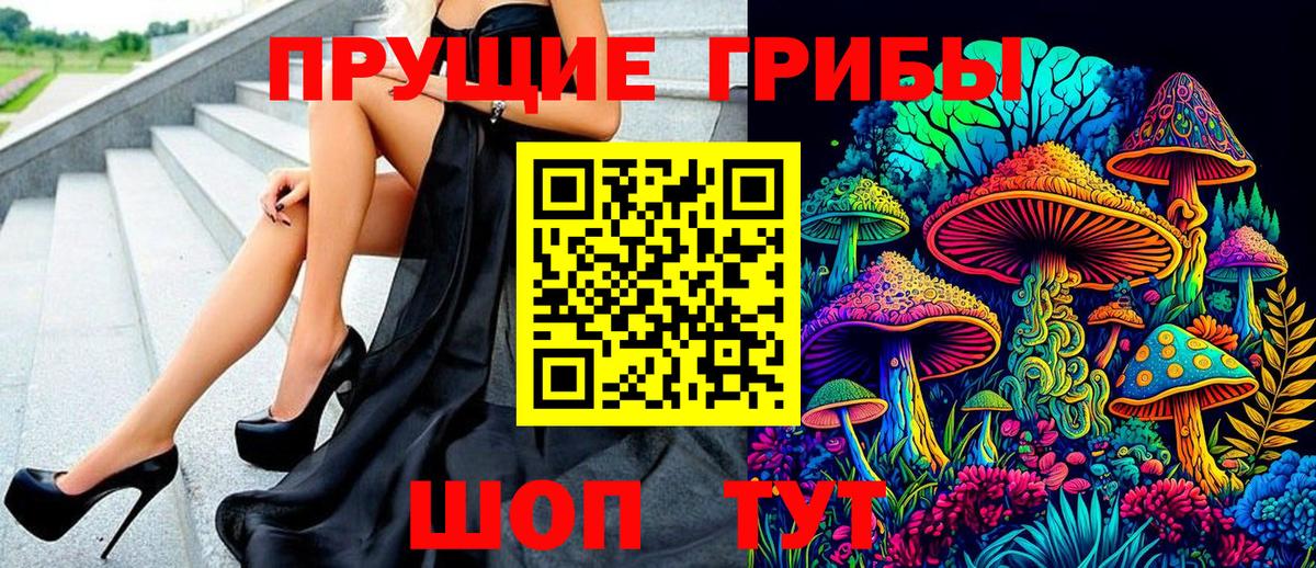 Галлюциногенные грибы Psilocybe Белгород