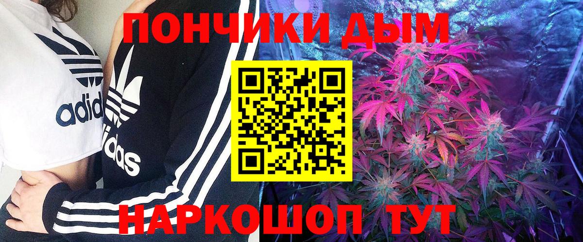 Каннабис тримм  Вход с VPN  Шишки марихуана White Widow  Белгород  Канабис план 